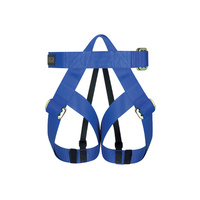 Ferno Vertical Gym Harness [Size XL]